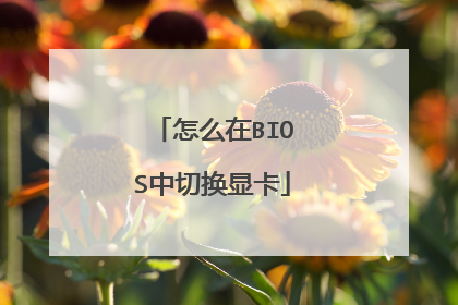 怎么在BIOS中切换显卡