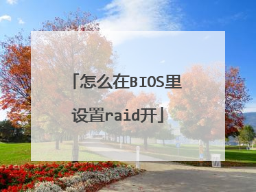 怎么在BIOS里设置raid开