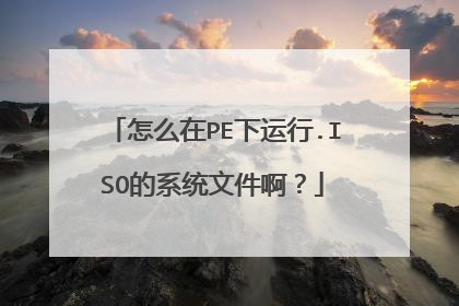 怎么在PE下运行.ISO的系统文件啊?