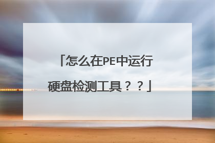 怎么在PE中运行硬盘检测工具??