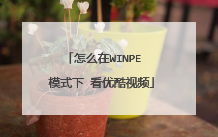 怎么在WINPE 模式下 看优酷视频