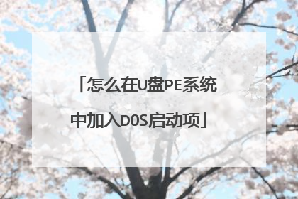 怎么在U盘PE系统中加入DOS启动项