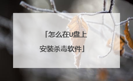 怎么在U盘上安装杀毒软件
