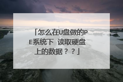 怎么在U盘做的PE系统下 读取硬盘上的数据？？