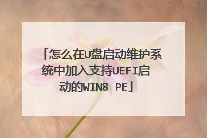 怎么在U盘启动维护系统中加入支持UEFI启动的WIN8 PE