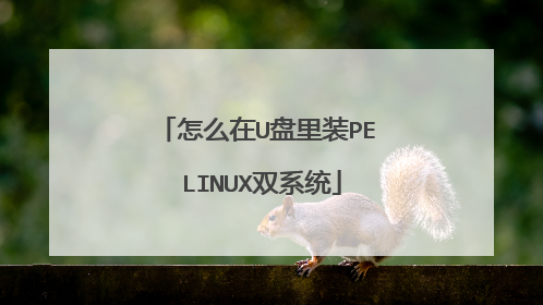 怎么在U盘里装PE LINUX双系统