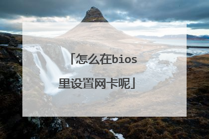 怎么在bios里设置网卡呢