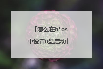 怎么在bios中设置u盘启动