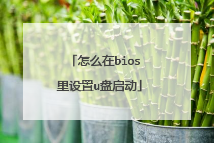 怎么在bios里设置u盘启动