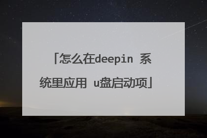 怎么在deepin 系统里应用 u盘启动项