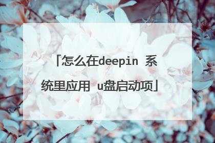 怎么在deepin 系统里应用 u盘启动项