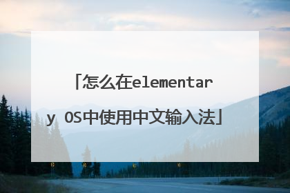 怎么在elementary OS中使用中文输入法