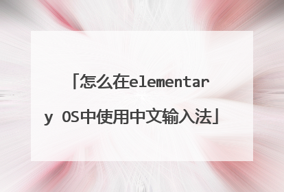 怎么在elementary OS中使用中文输入法