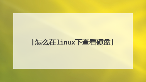 怎么在linux下查看硬盘