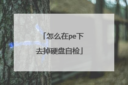 怎么在pe下去掉硬盘自检