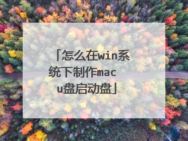 怎么在win系统下制作mac u盘启动盘