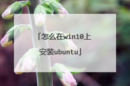 怎么在win10上安装ubuntu