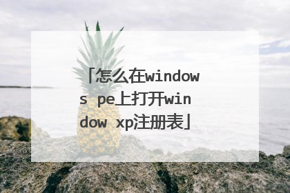 怎么在windows pe上打开window xp注册表