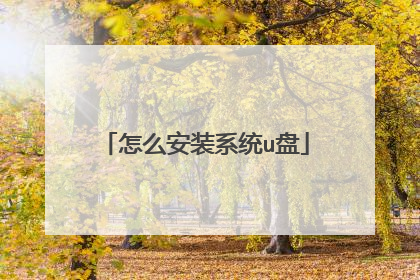 怎么安装系统u盘