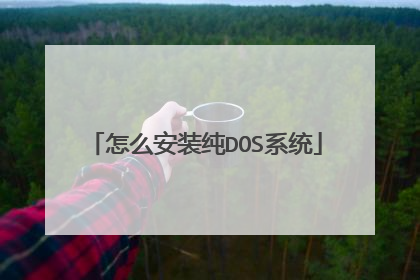 怎么安装纯DOS系统