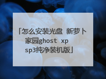 怎么安装光盘 新萝卜家园ghost xp sp3纯净装机版