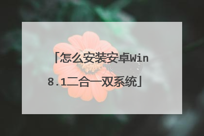 怎么安装安卓Win8.1二合一双系统