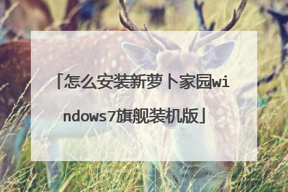 怎么安装新萝卜家园windows7旗舰装机版