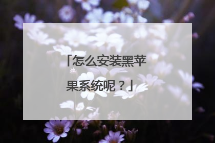 怎么安装黑苹果系统呢?