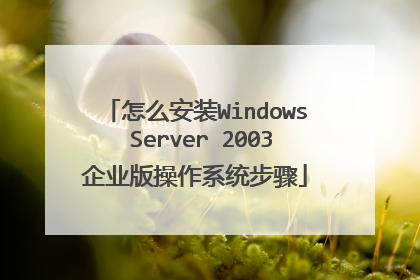 怎么安装Windows Server 2003企业版操作系统步骤