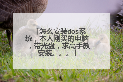 怎么安装dos系统,本人刚买的电脑,带光盘,求高手教安装。。。