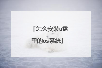 怎么安装u盘里的os系统