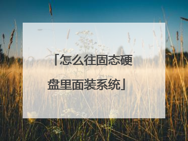 怎么往固态硬盘里面装系统