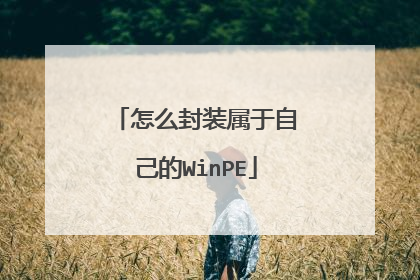 怎么封装属于自己的WinPE