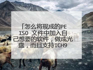 怎么将现成的PE ISO 文件中加入自己想要的软件,做成光盘,而且支持ICH9和ICH10.