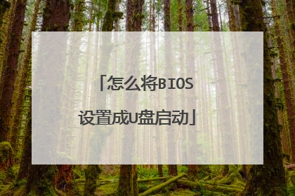 怎么将BIOS设置成U盘启动
