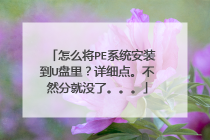 怎么将PE系统安装到U盘里?详细点。不然分就没了。。。