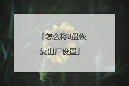 怎么将U盘恢复出厂设置