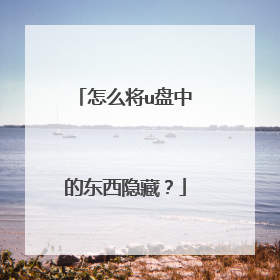 怎么将u盘中的东西隐藏?