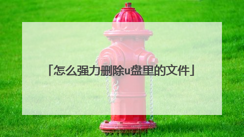 怎么强力删除u盘里的文件