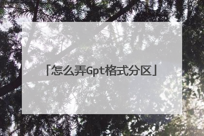怎么弄Gpt格式分区