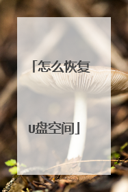 怎么恢复U盘空间