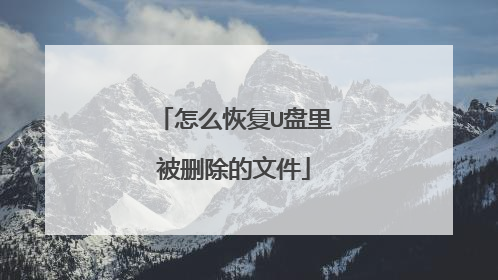 怎么恢复U盘里被删除的文件