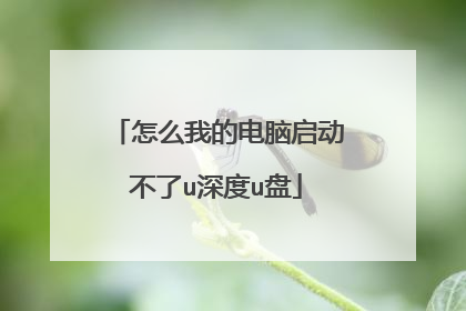 怎么我的电脑启动不了u深度u盘
