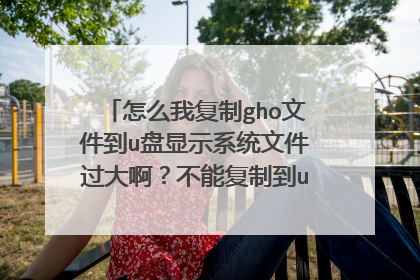 怎么我复制gho文件到u盘显示系统文件过大啊?不能复制到u盘怎么才能复制?