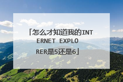 怎么才知道我的INTERNET EXPLORER是5还是6