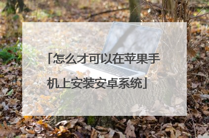 怎么才可以在苹果手机上安装安卓系统