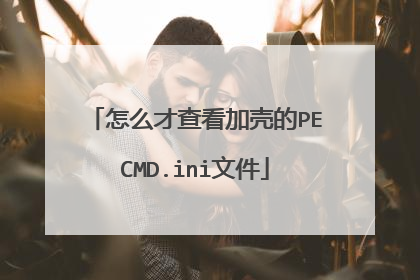 怎么才查看加壳的PECMD.ini文件