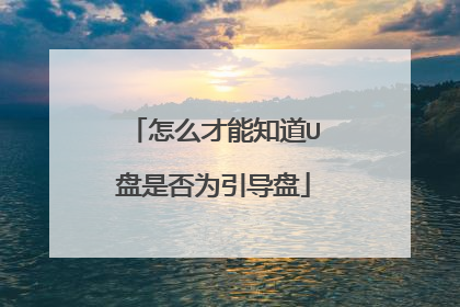 怎么才能知道U盘是否为引导盘