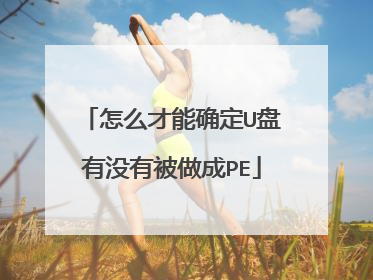 怎么才能确定U盘有没有被做成PE
