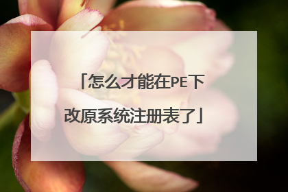 怎么才能在PE下改原系统注册表了